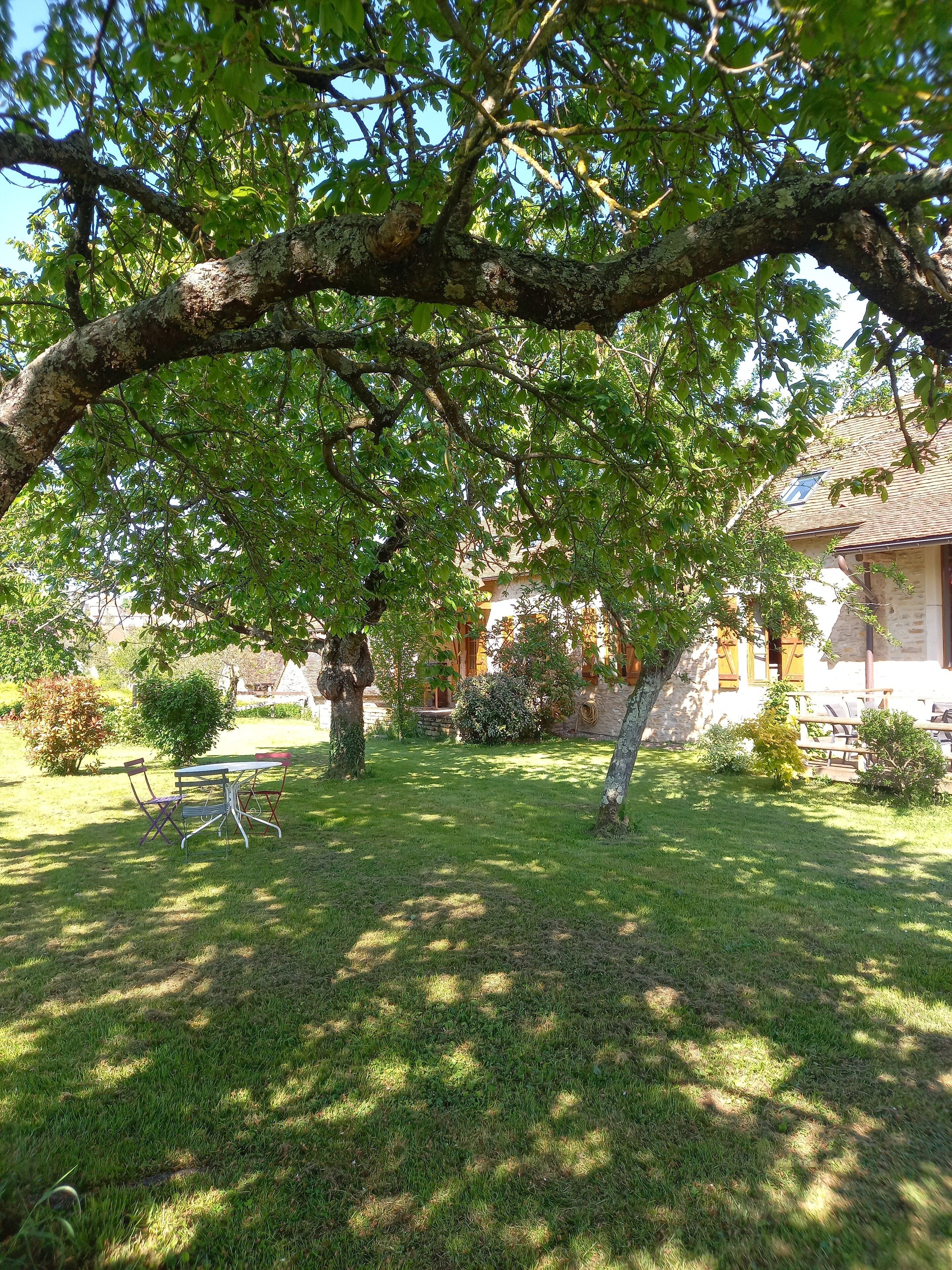 Un espace extérieur verdoyant avec un grand arbre, une table entourée de chaises et un bâtiment en arrière-plan.
