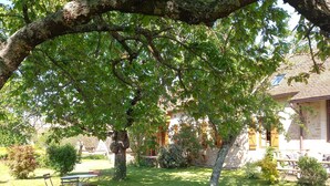 A grassy outdoor area with a large tree, a table with chairs, and a building in the background. - "Les Vieux Poiriers" (near Taize, Cluny ..) in Bonnay 71460 (Cluniac site) (Bonnay)