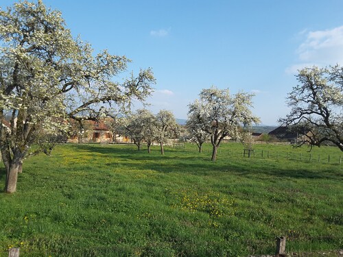 "Les Vieux Poiriers"—A charming vacation rental near Cluny & Taizé