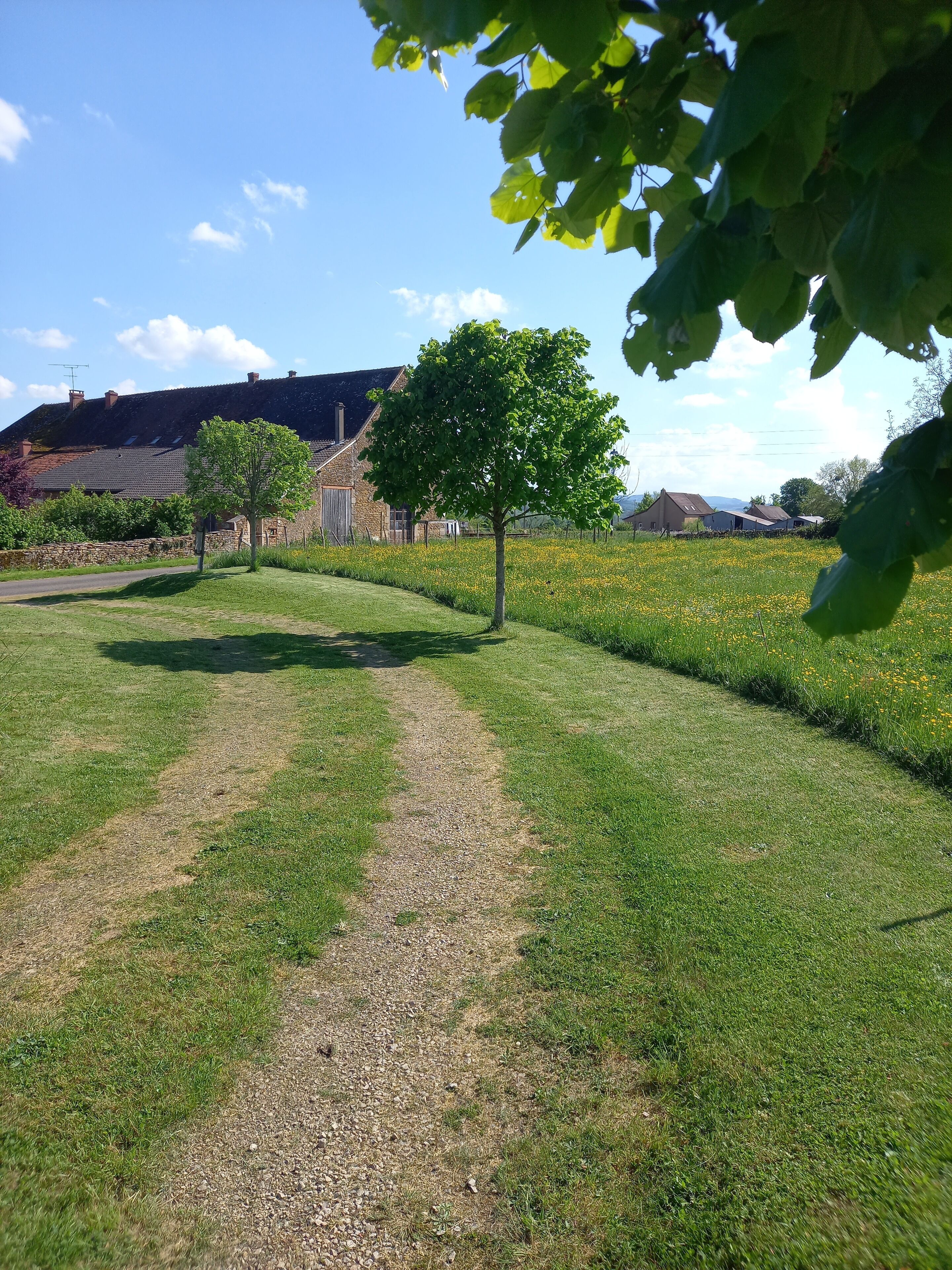 Ländliche Landschaft mit einem Schotterweg, grünem Gras und einem Baum im Vordergrund.