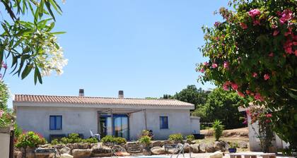Vacation home with pool, pet-friendly, on the Costa Smeralda, Olbia, Sassari