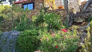 Ein Steinhaus mit Fenster und Garten, bepflanzt mit verschiedenen Blumen und Pflanzen.