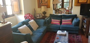 Televisor, llar de foc, llibres i estèreo 