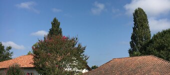 Magnificent 18th century Landes farmhouse with swimming pool, 16 people