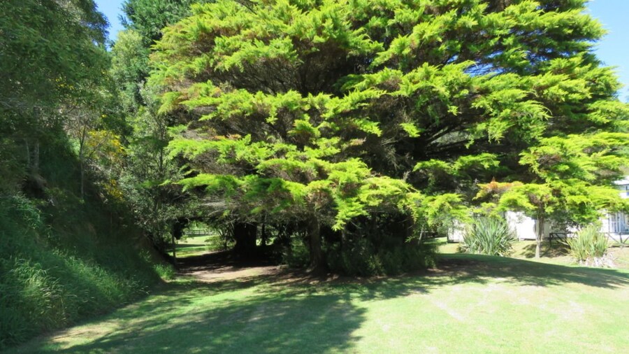 Grandeur Thermal Spa Resort