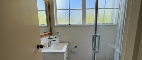 A bathroom with a wooden floor, a white sink, a toilet, and a glass shower enclosure.