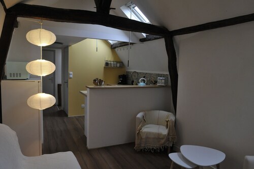 Tours historique, appartement entièrement rénové