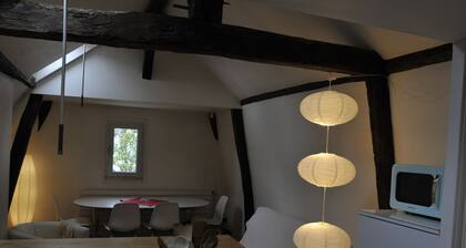 Tours historique, appartement entiÚrement rénové