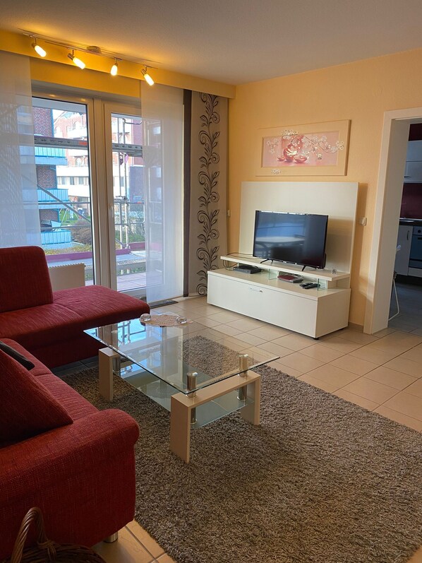 TV, DVD player, books, video library