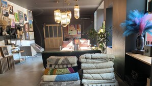Un intérieur moderne avec un canapé, des coussins décoratifs, une plante et des œuvres d’art accrochées aux murs.