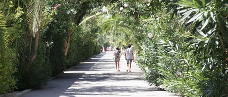 Un sendero bordeado de vegetación exuberante y palmeras, que lleva a un edificio con entrada cubierta.