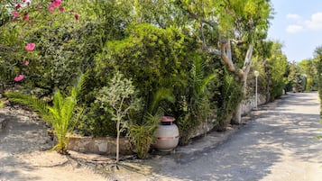 Jardín
