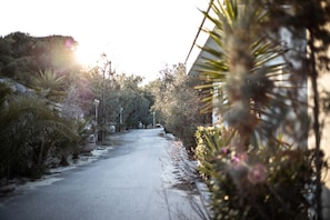 Jardí