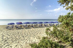 전용 해변, 비치 바