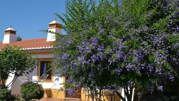 Terrazza/patio