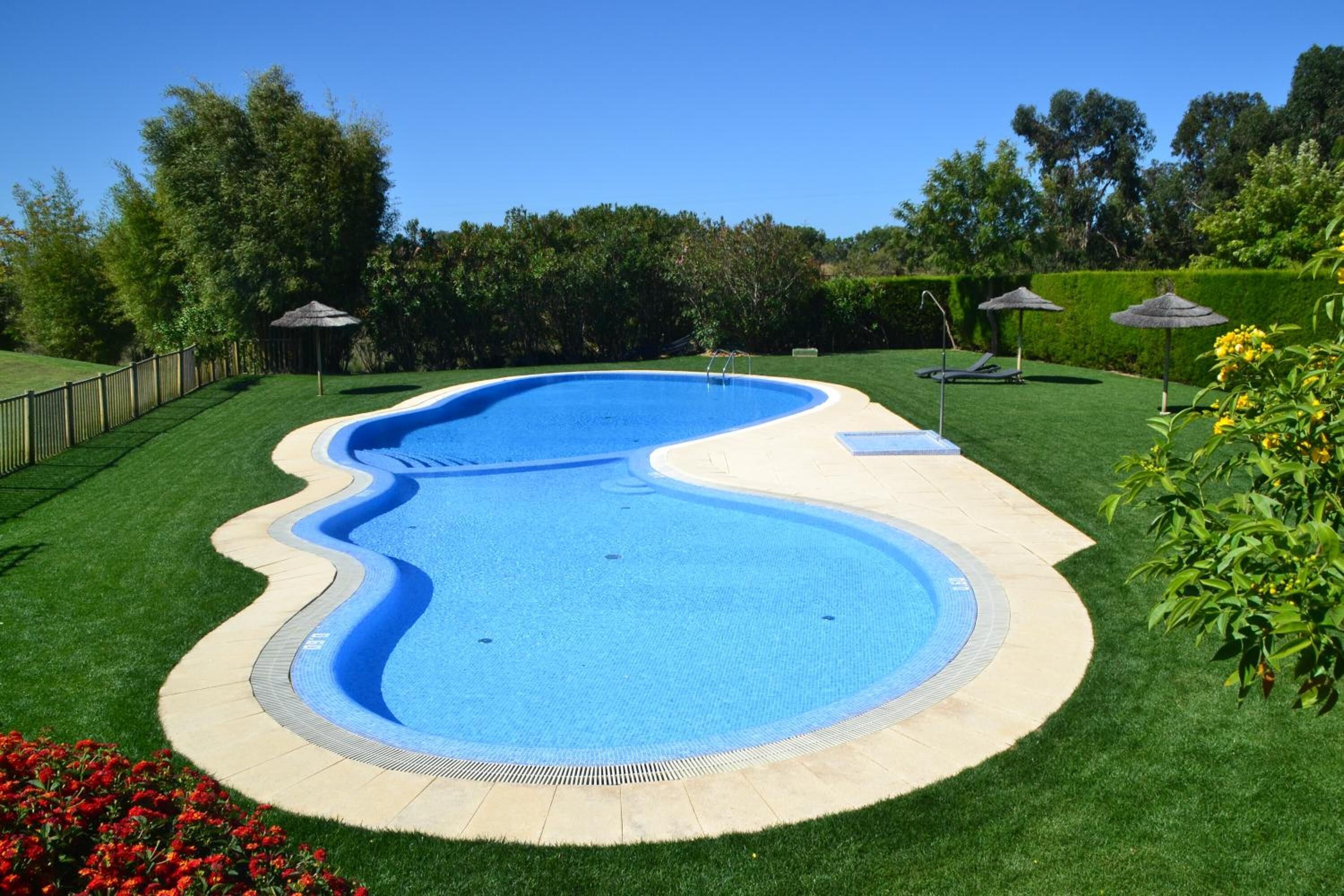 A swimming pool with a wavy edge, surrounded by well-maintained grass and a few trees.