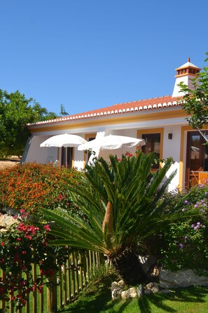 Property grounds - Turismo Rural Monte João Roupeiro (Aljezur)