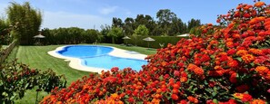 Ein Swimmingpool, umgeben von einer gepflegten Rasenfläche und leuchtend roten Blüten.