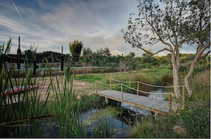 Un puente de madera sobre un estanque, rodeado de vegetación y con un edificio al fondo.