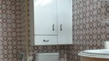 Combined shower/bathtub, hair dryer, towels, soap