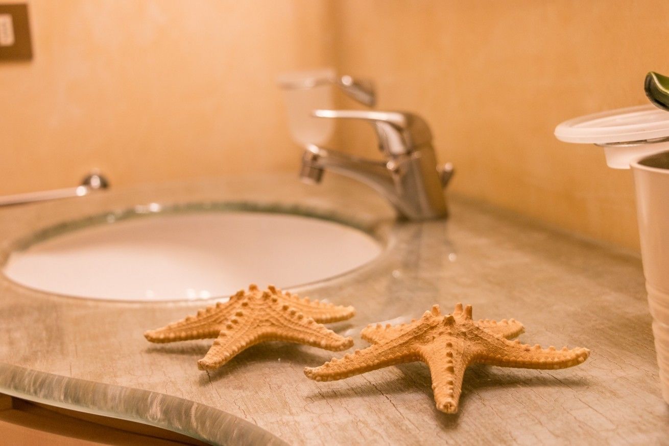 A bathroom sink with two starfish-shaped soap dishes.