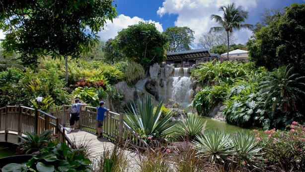 A lush garden with a waterfall, a wooden bridge, and a building in the background.