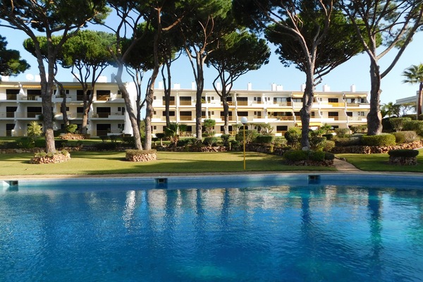 Piscina inserida em jardim com sol e sombras naturais.