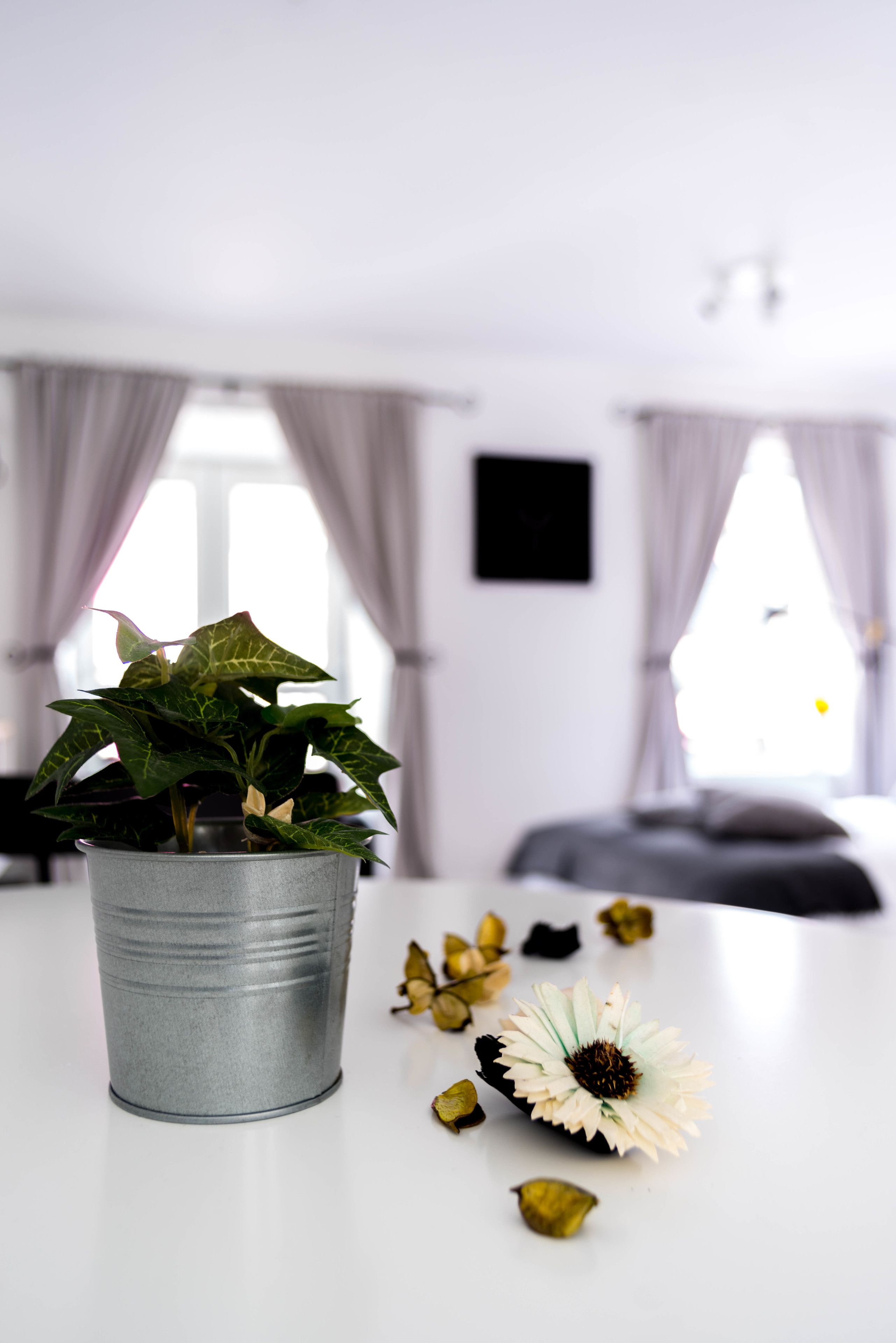 Foto - Amica Guesthouse