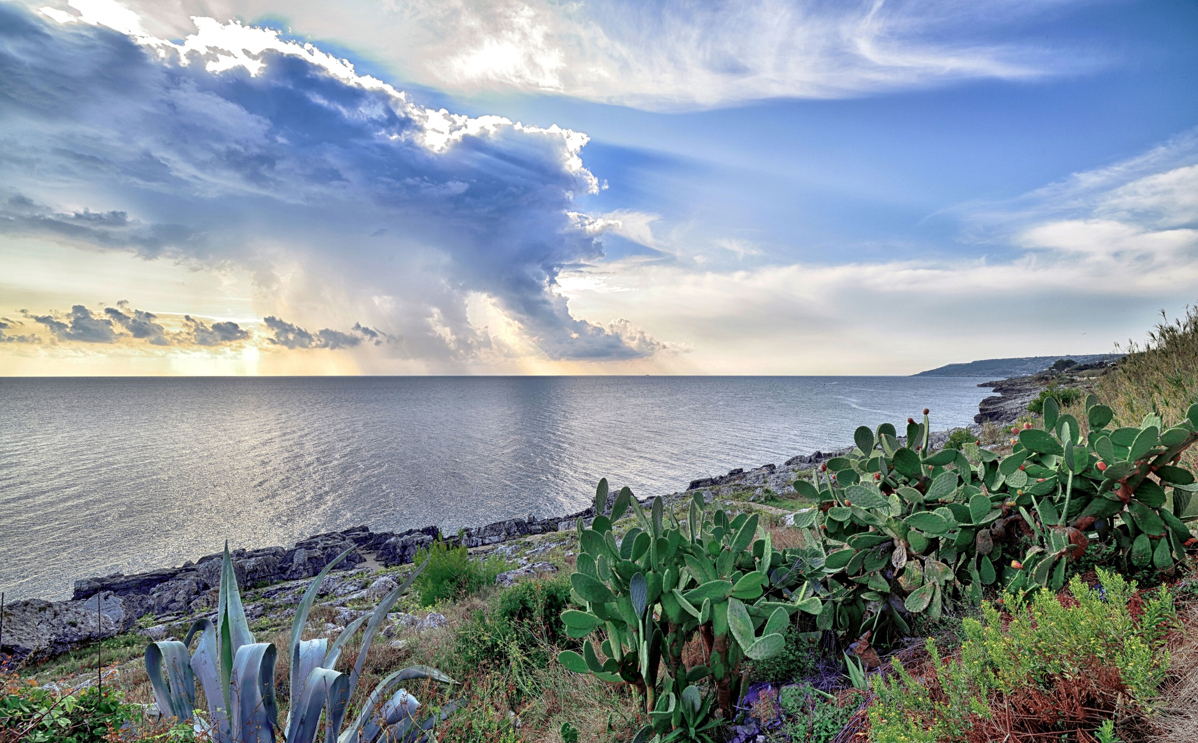 Paisaje costero con costa rocosa, vegetación verde y vista al mar bajo un cielo parcialmente nublado.