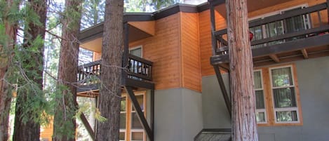 back view