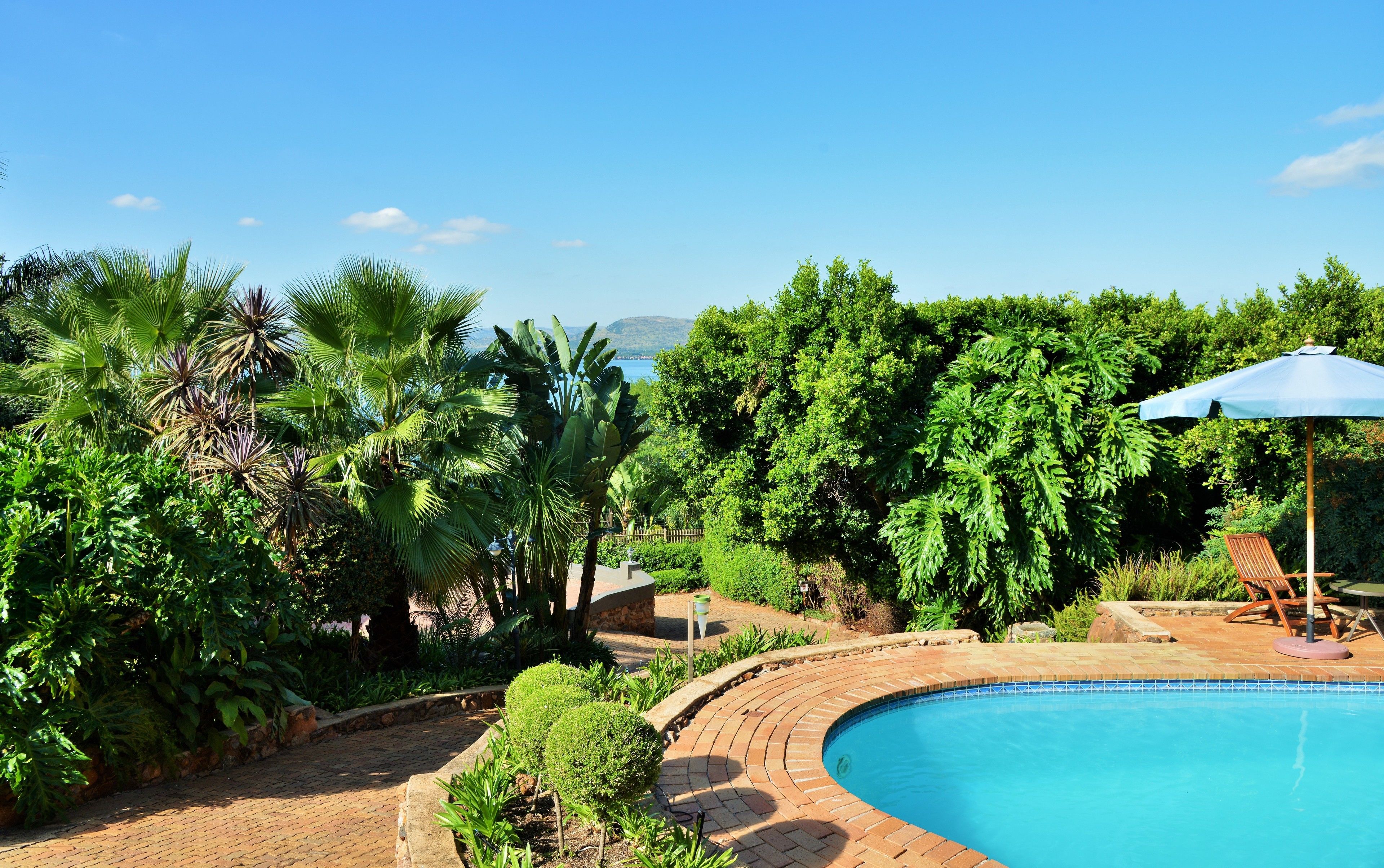 Une piscine entourée d’une végétation luxuriante, sous un ciel bleu et dégagé.