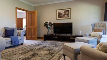 TV skrin rata, pendiangan, Netflix, perkhidmatan penstriman