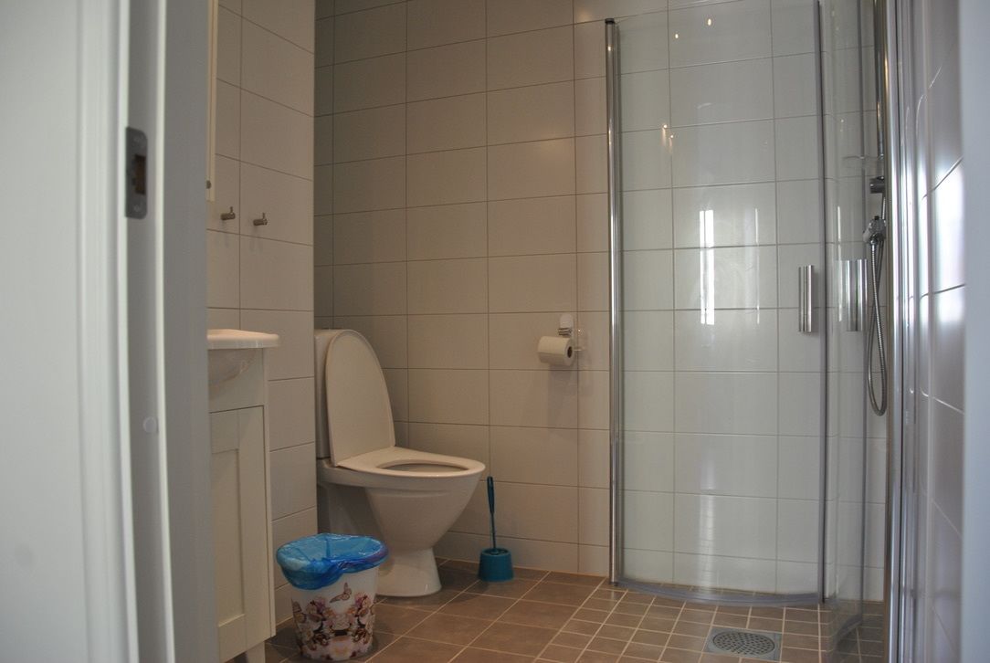 A bathroom with a toilet, a shower, and a trash bin.