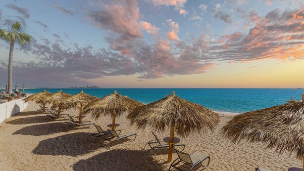 Una playa con sombrillas de paja, sillas de descanso y una palmera.