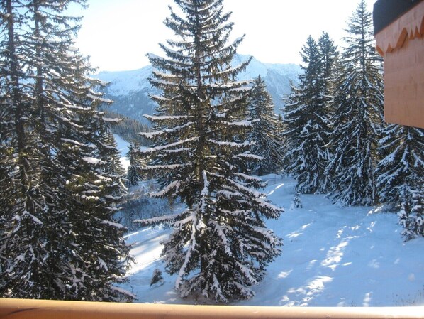 Unclassified image, 1 of 10, button - APARTMENT FOR EIGHT PEOPLE TO SEIZURE MOUNTAIN STYLE (Villard-sur-Doron)
