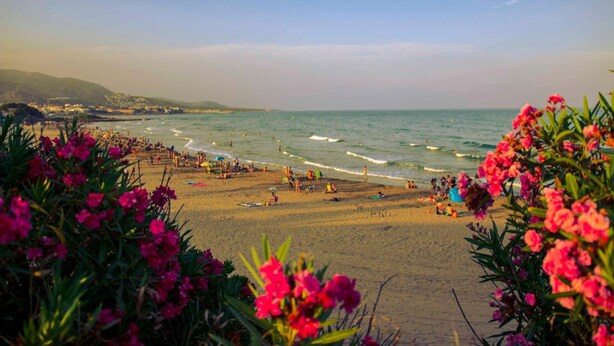 Une plage avec des personnes et des fleurs au premier plan.
