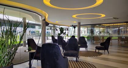 SLAVIERO Campina Grande