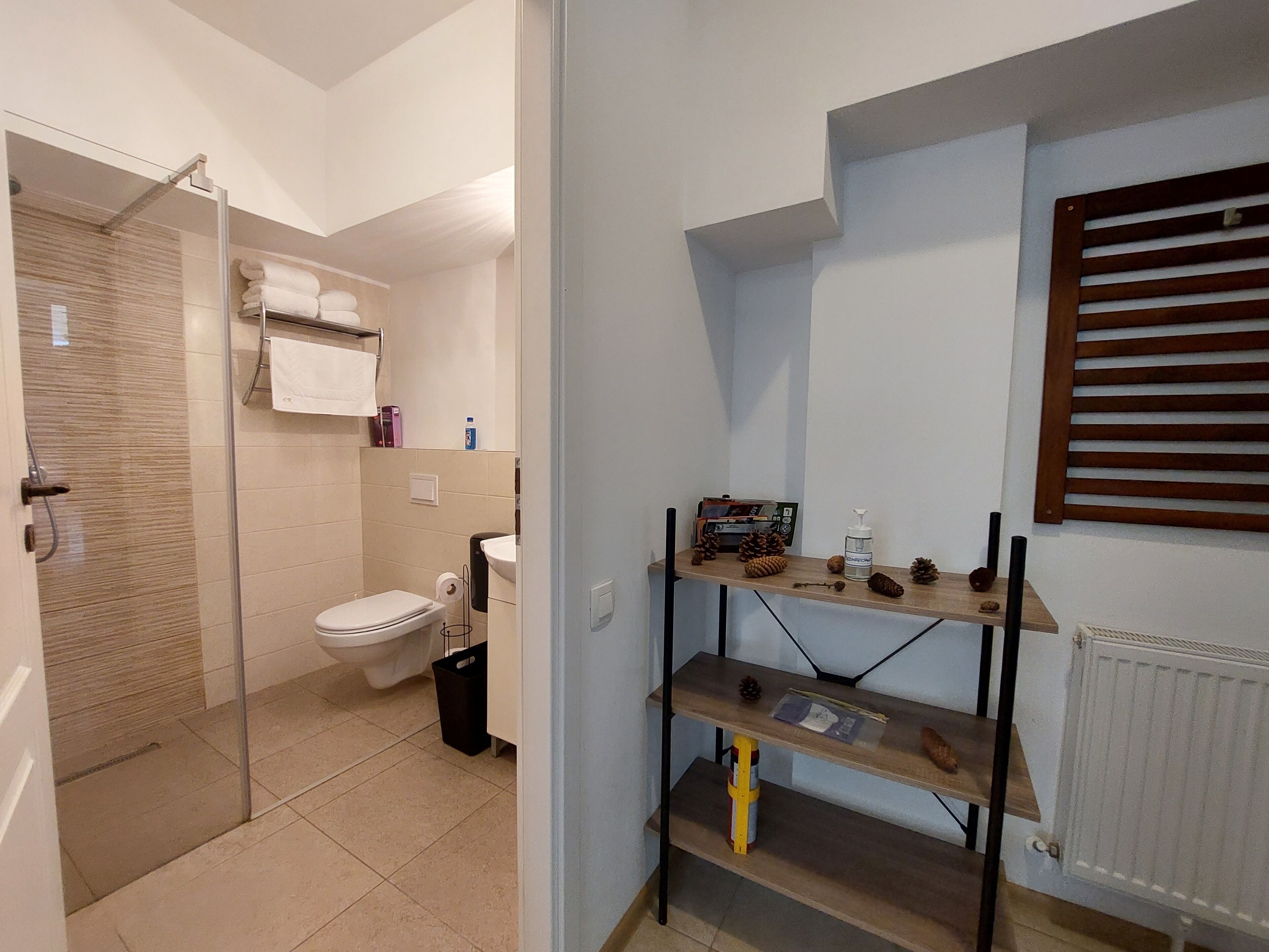 A modern bathroom with a glass shower enclosure, a toilet, and a shelf with toiletries.