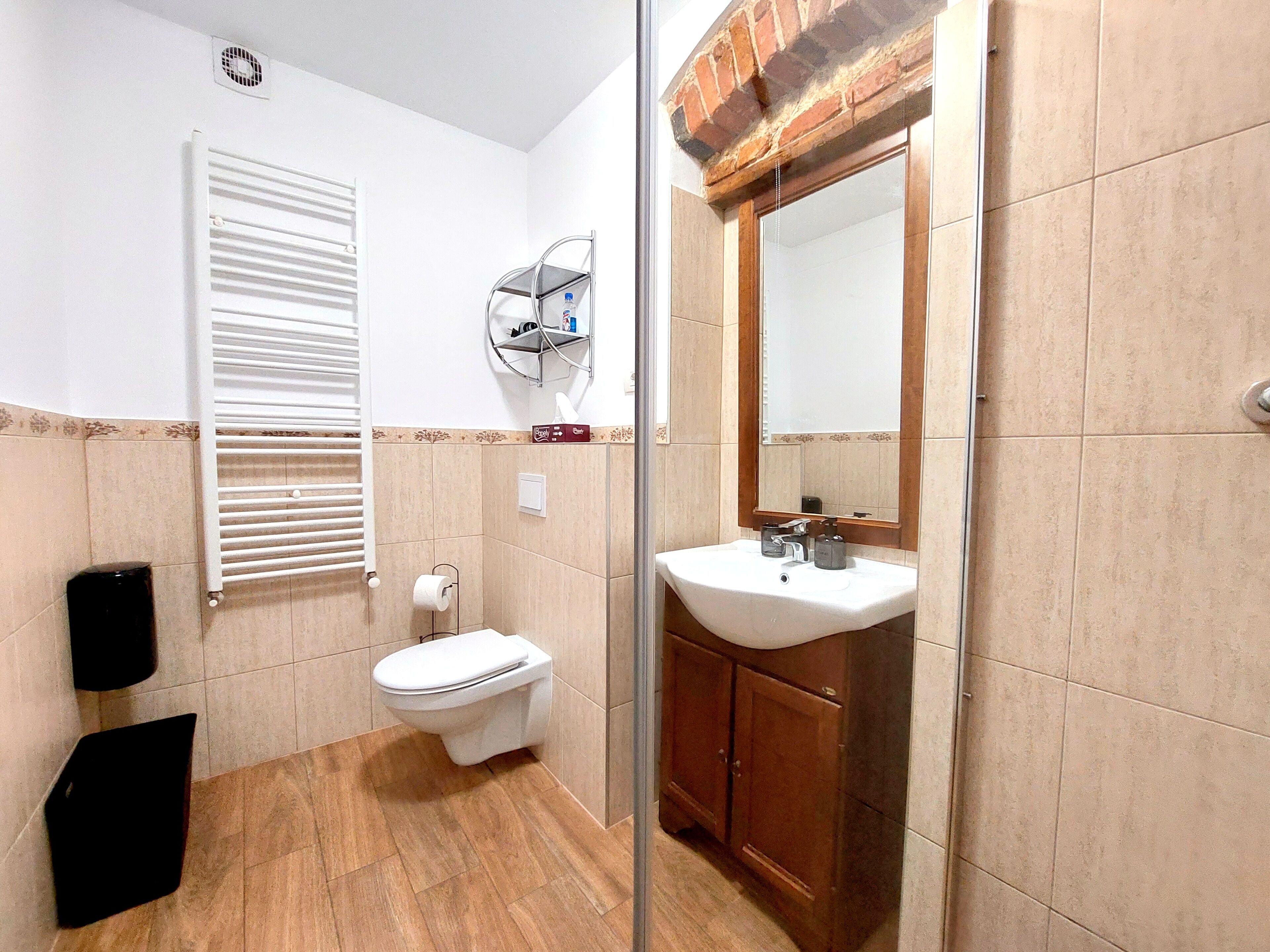 A bathroom with a toilet, sink, and mirror.