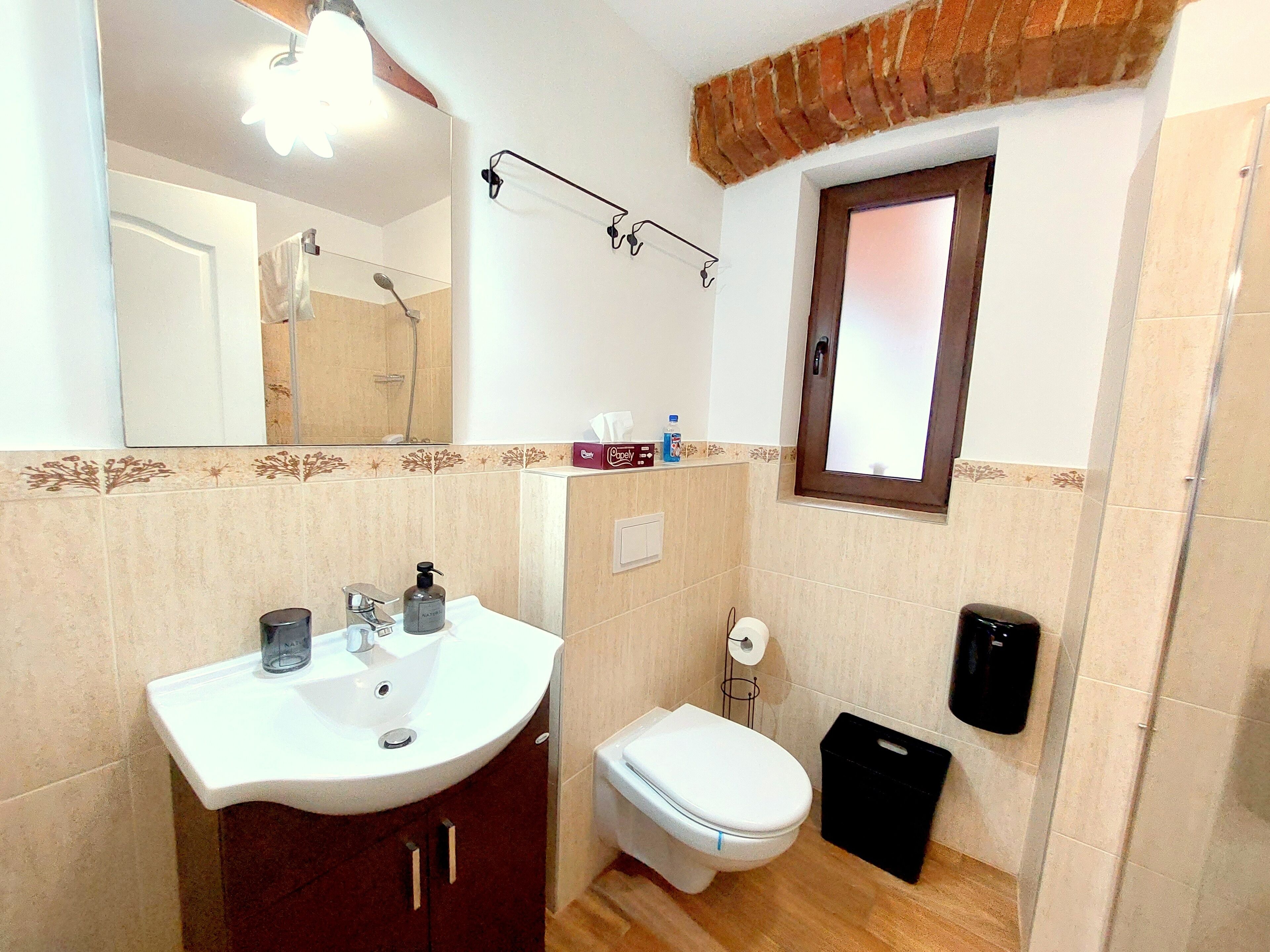 A bathroom with a white sink, a toilet, a mirror, and a shower.