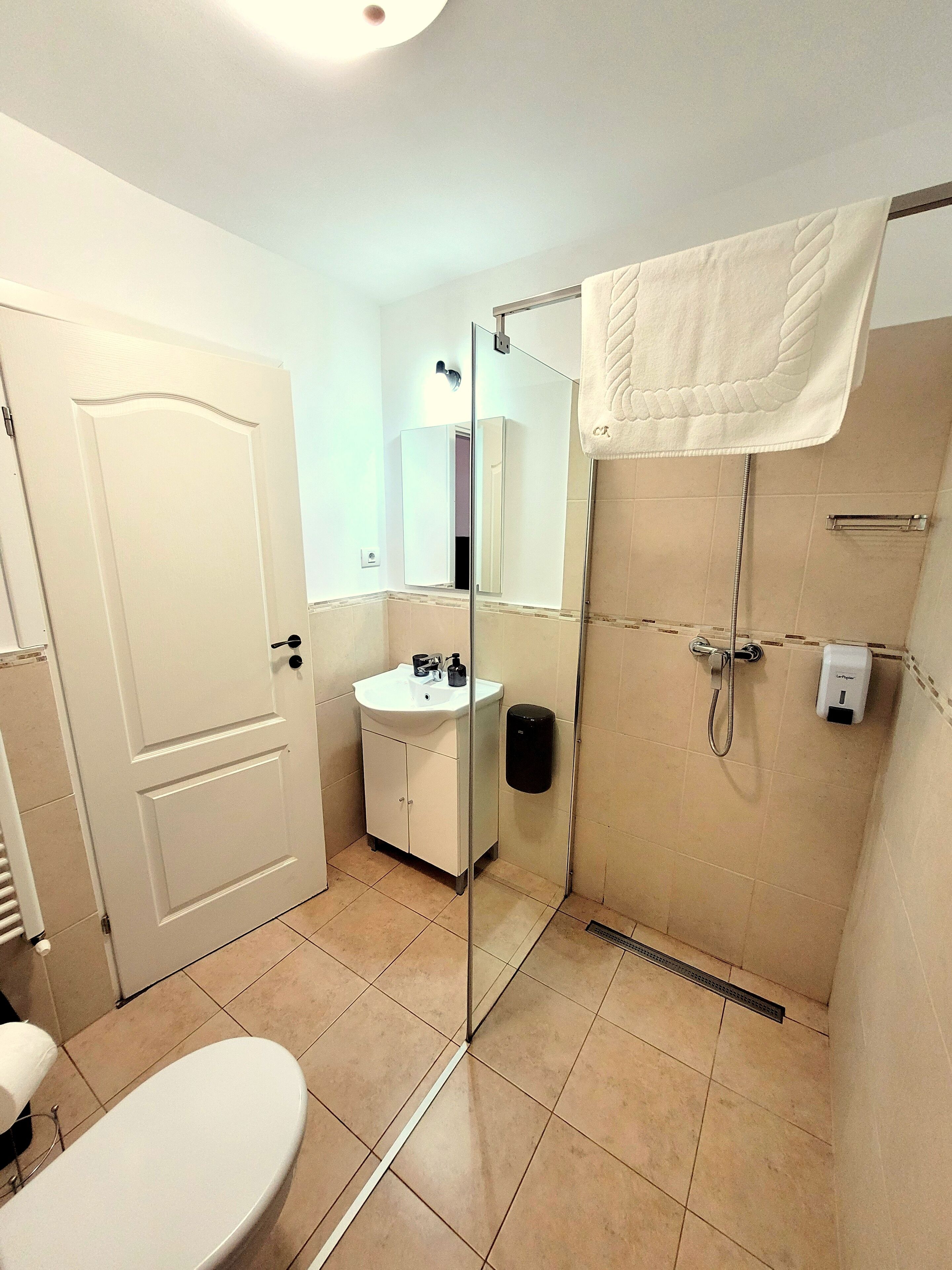 A bathroom with a toilet, sink, mirror, and shower.