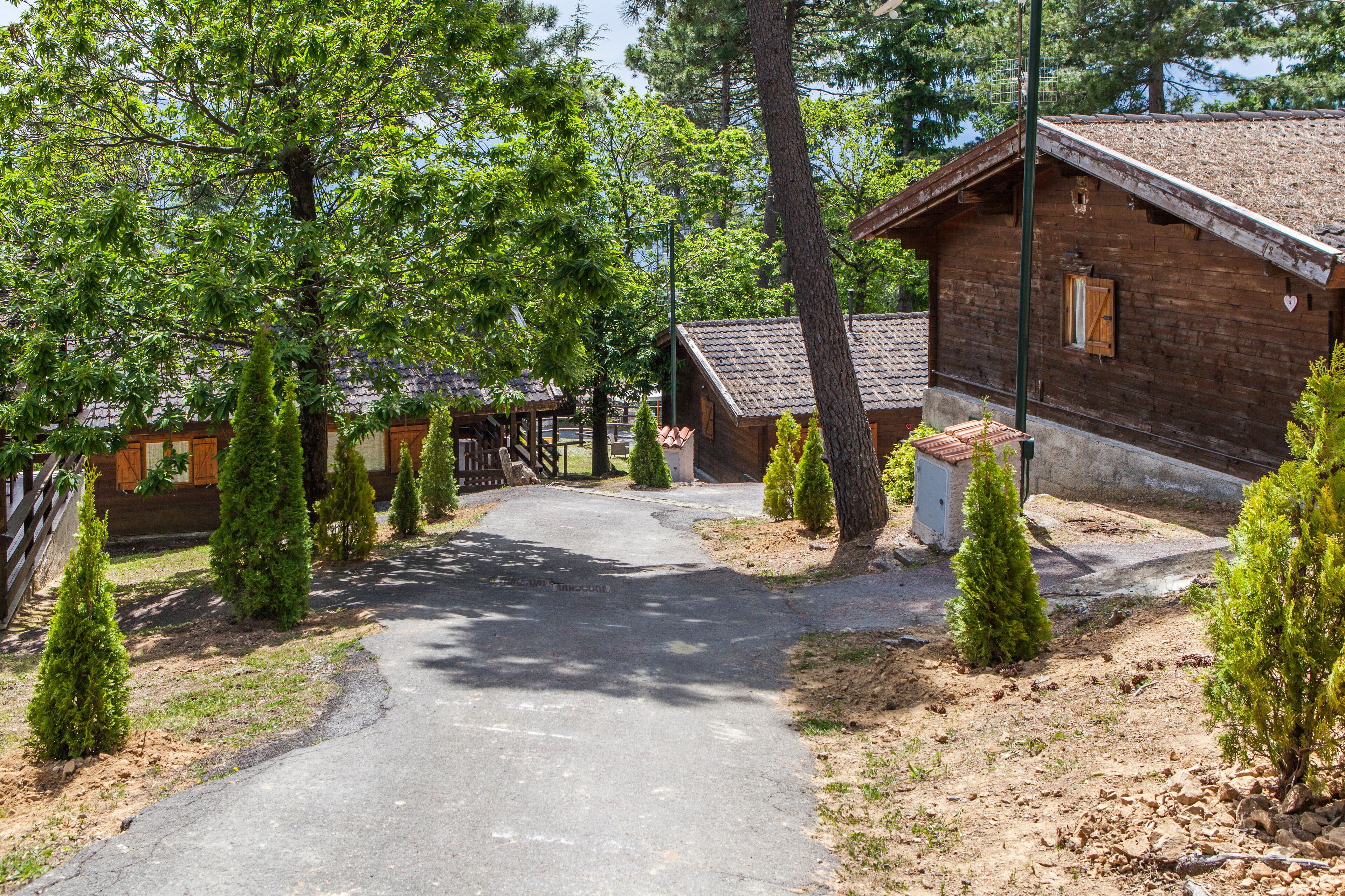 A rustic wooden cabin with a paved driveway, surrounded by small coniferous trees.