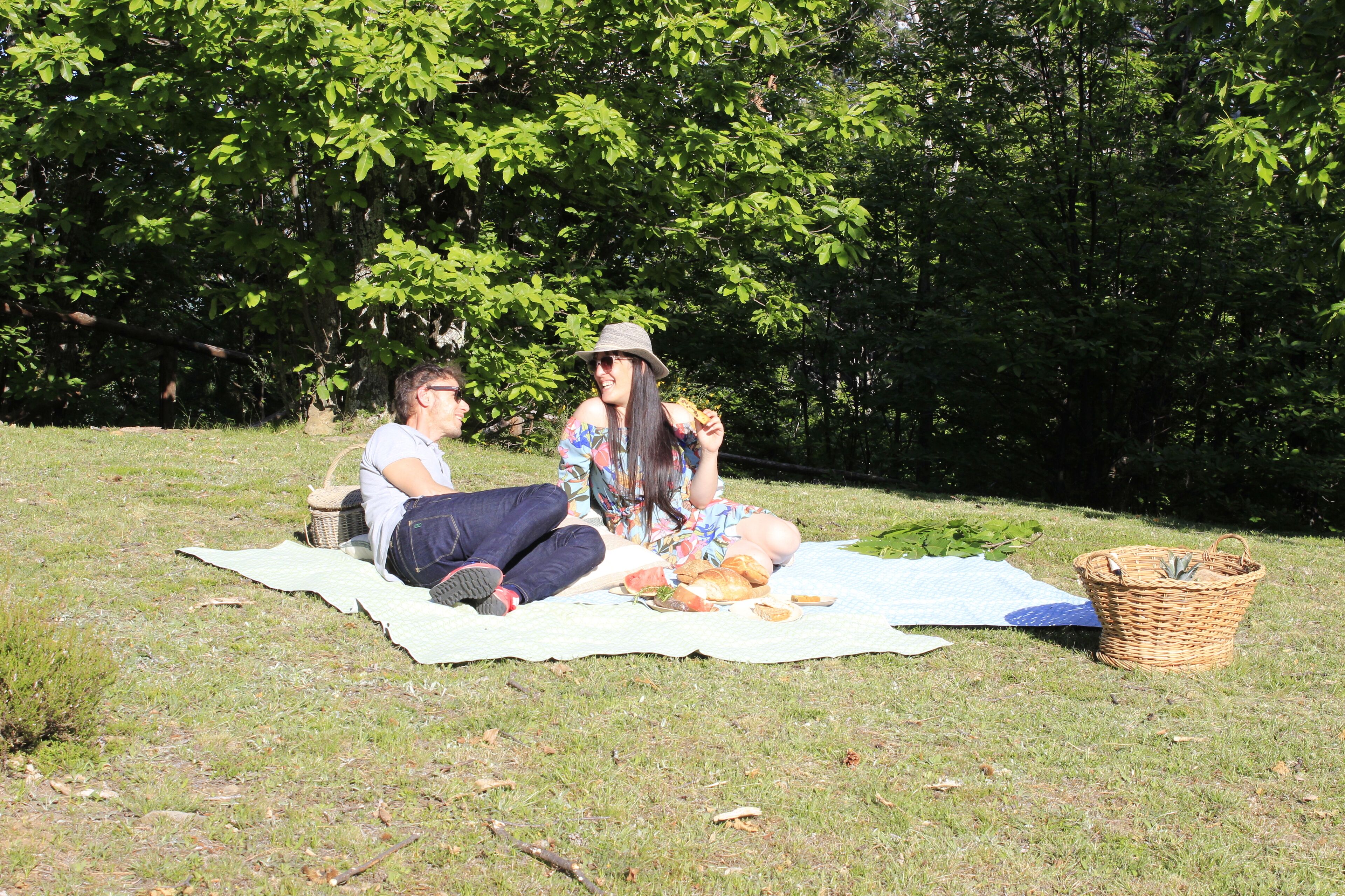 Aire de pique-nique/barbecue