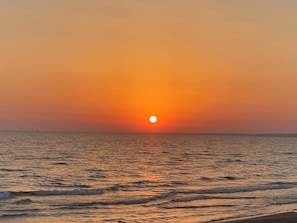 Serviettes de plage