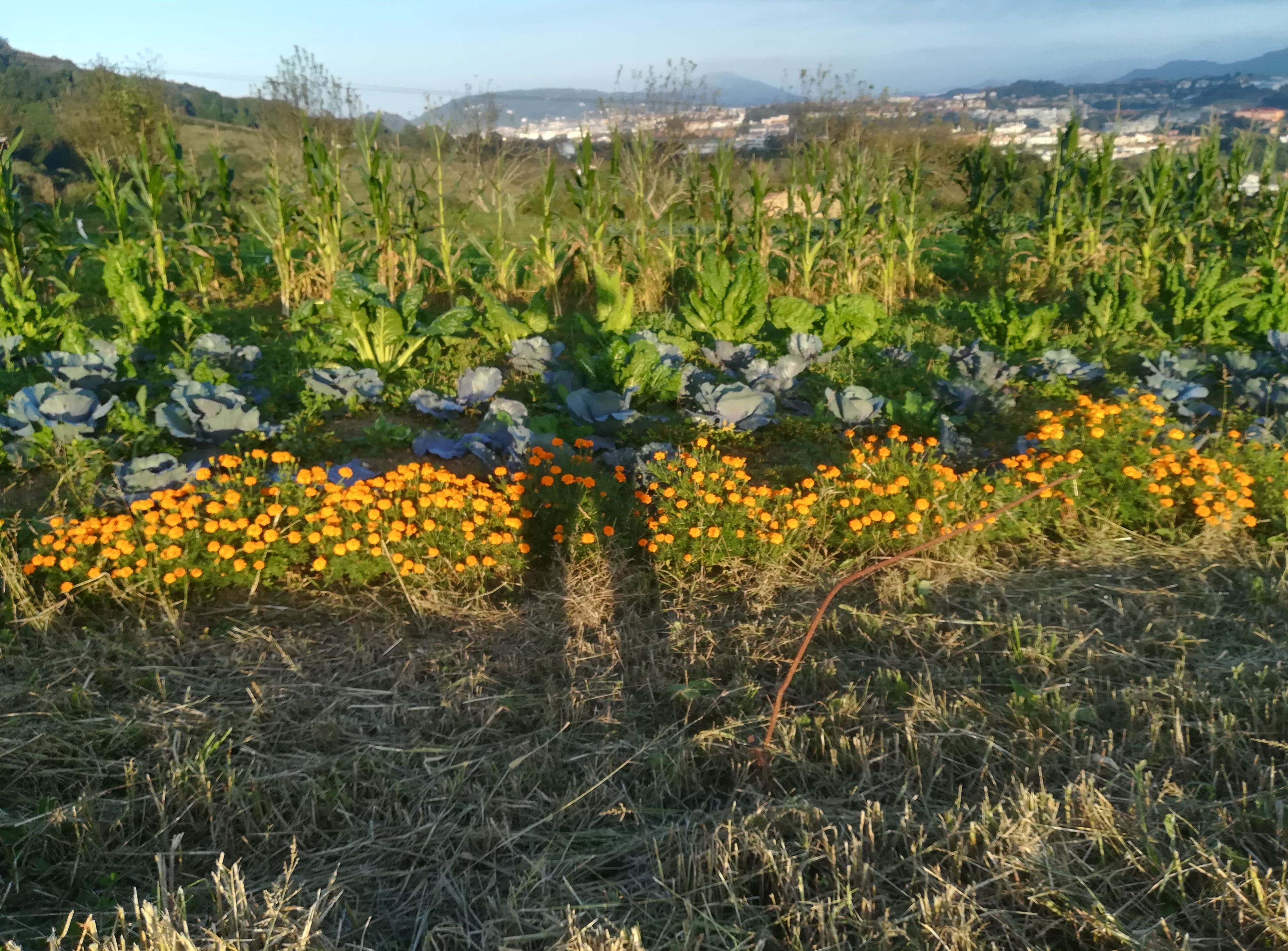 Foto - Casa Rural Aristondo Agroturismo