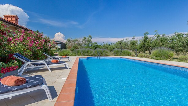 Outdoor pool, pool umbrellas, pool loungers - Villa Olives (Marcana)