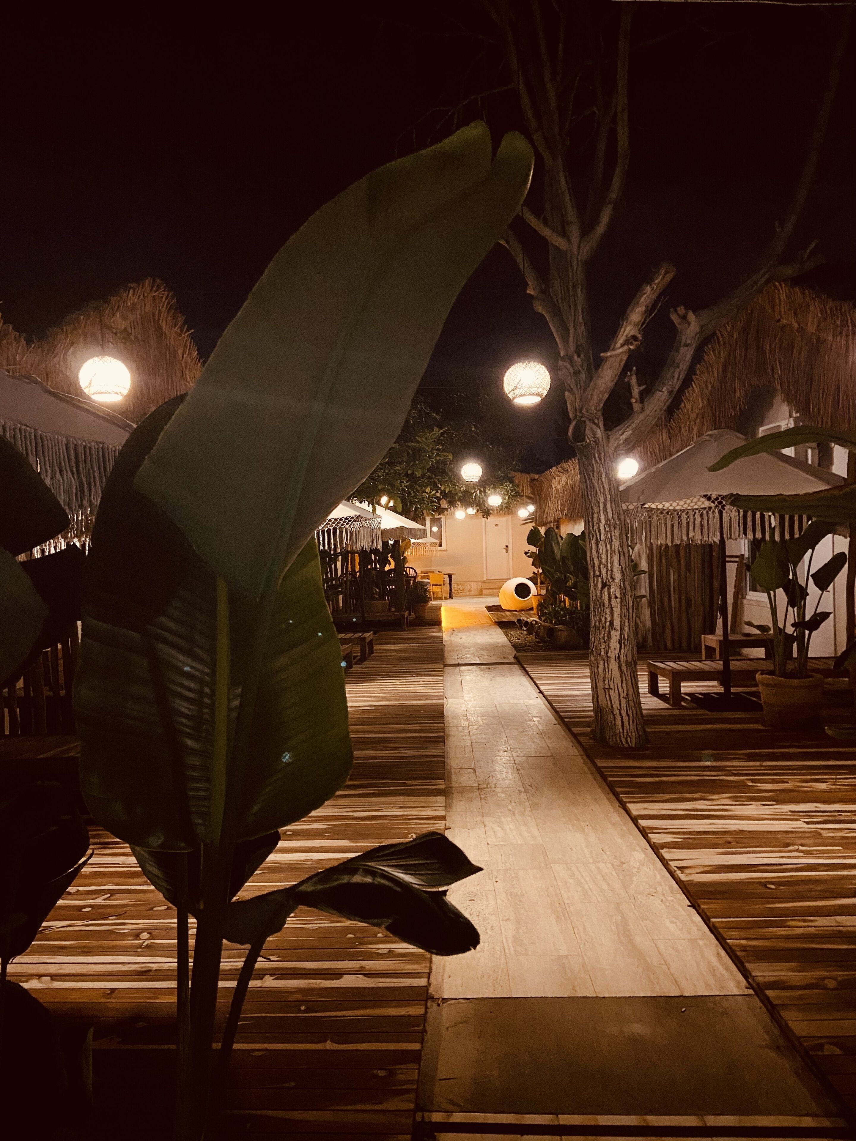 Un sendero de madera conduce a una edificación con techo de paja, rodeada de plantas tropicales e iluminada por luces colgantes.