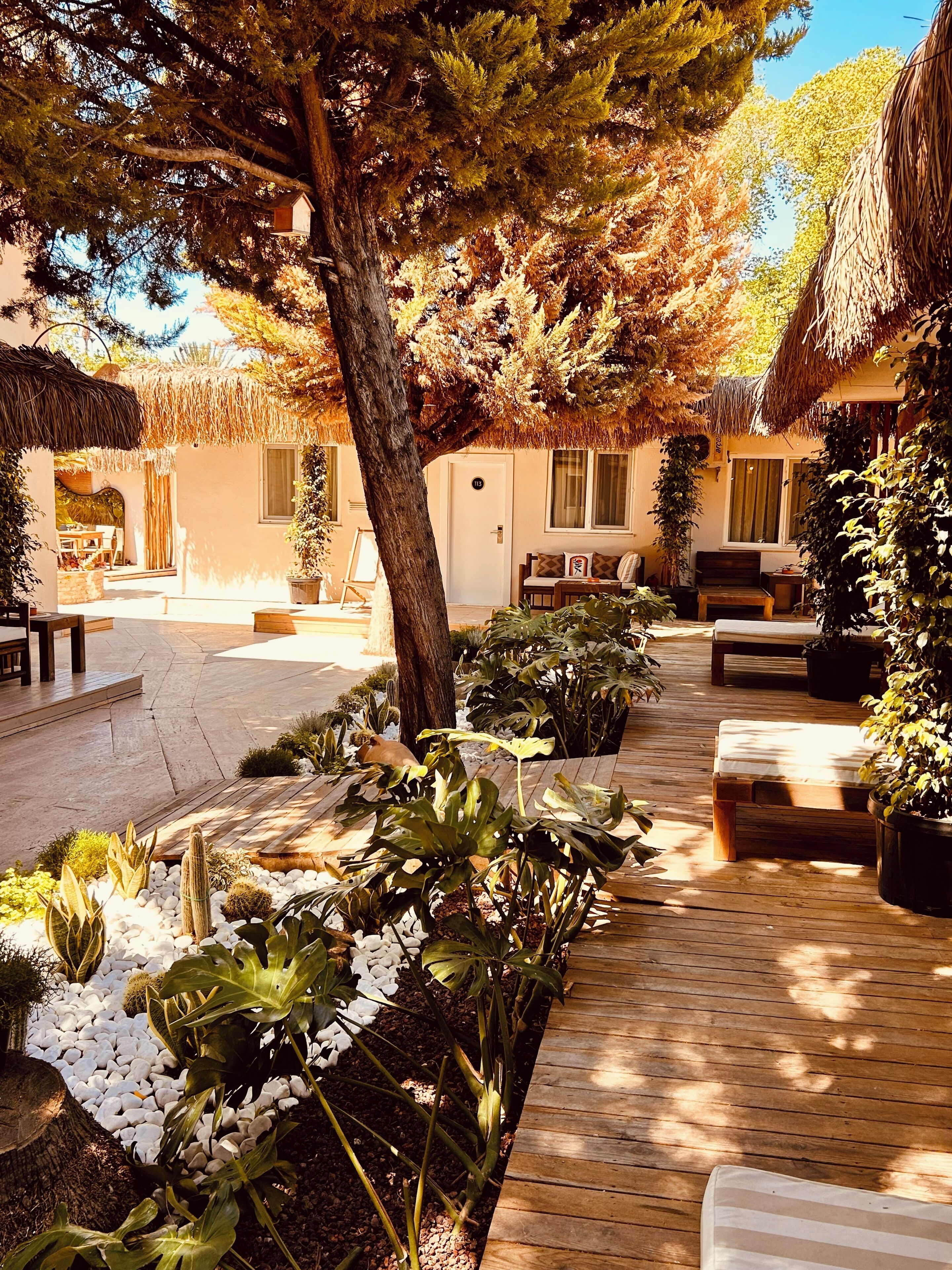 A courtyard with a wooden deck, potted plants, and a thatched-roof building.