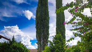 Un jardín con un sendero, árboles altos y un edificio con tejado de baldosas.