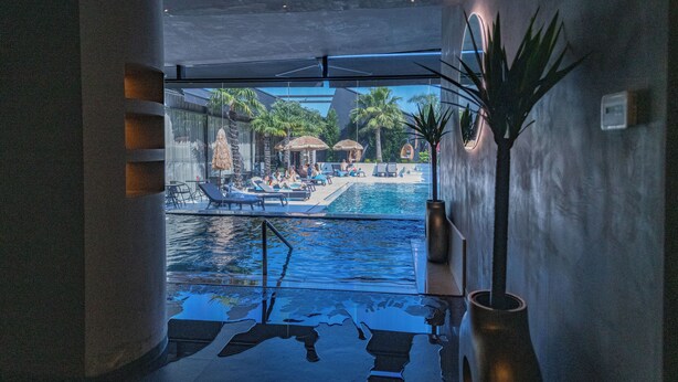 A pool area with lounge chairs and umbrellas, a view of the pool, and a potted plant. - Rubens Hotels & SPA (Vila Nova de Gaia)